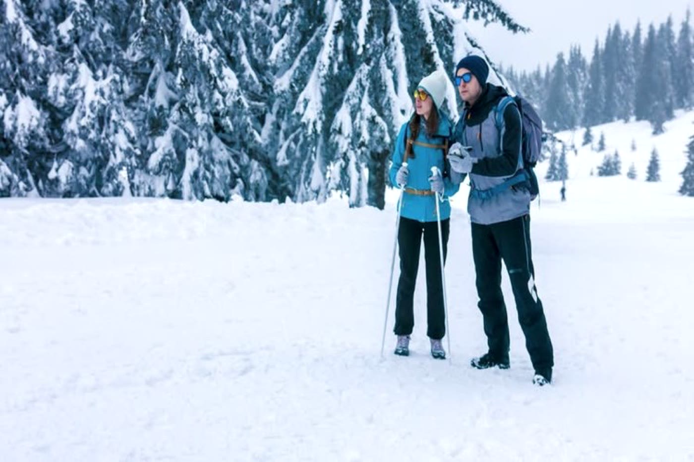 Snow-laden pine slopes in the Kashmir valley in winter